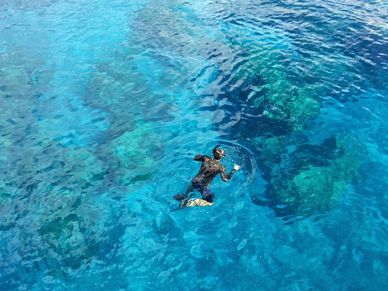 person snorkeling in clear ocean blue water with coral and fish below in the ocean